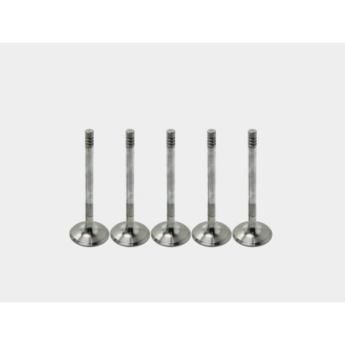 Direct Fit Intake Valve - Replaces OEM