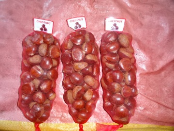 New Crop High Quality Chestnut