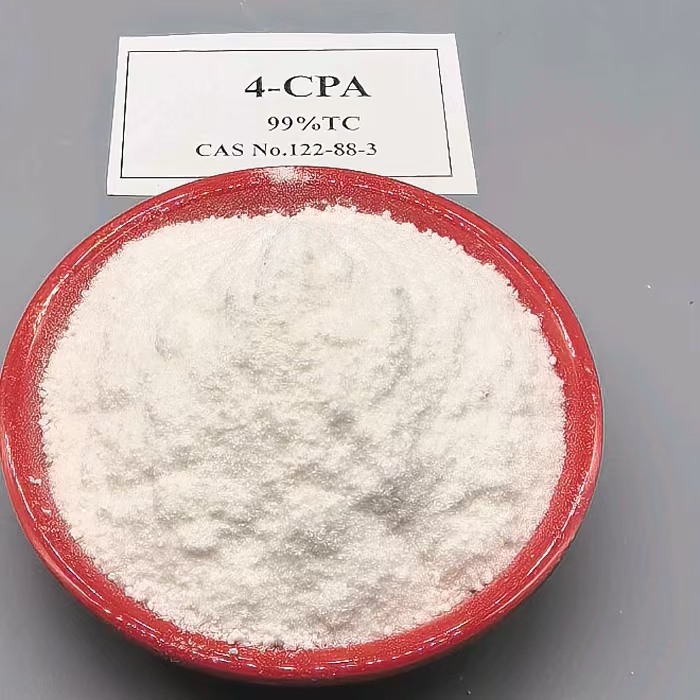 Auxin plant growth regulator 4-CPA (64)