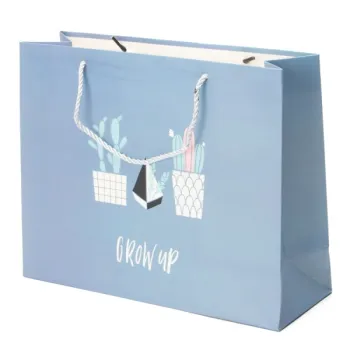 Fancy Gift Promotional Shopping Paper Bags
