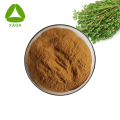 Organic Thyme Leaf Extract Thymol Powder 10:1