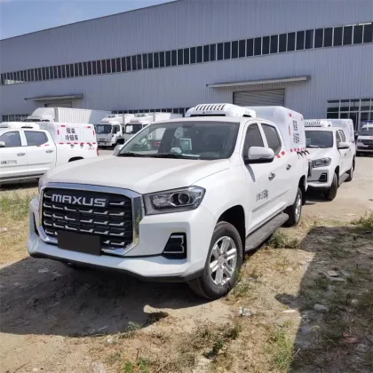 Chase Pickup Truck Specialized in Cold Chain Transport