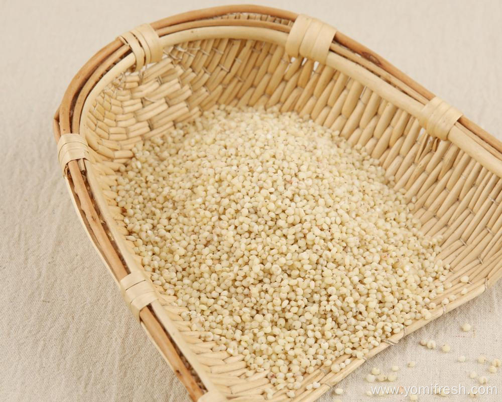 Whole Grains Without Gluten
