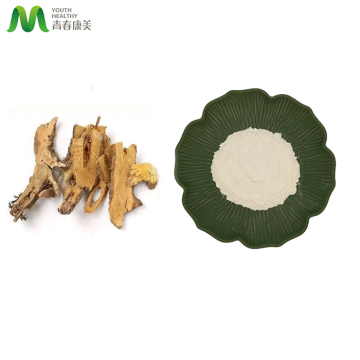 Óriás Knotweed kivonat Resveratrol por 98%