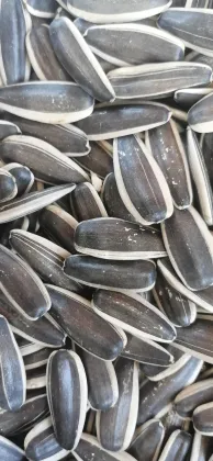 Sunflower seeds