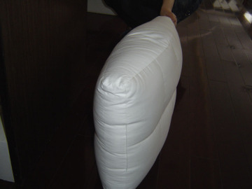 down pillow/cushion