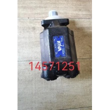 Self-dumping Truck Gear Pump