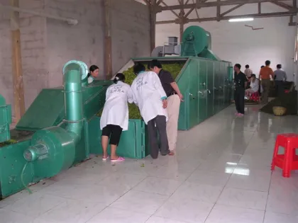 Single Pass Belt Dryer Machinery