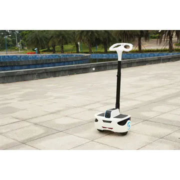 Sunnytimes-inmotion mini electric scooter mobility personal transportation robin foot controlNew