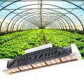 Tablero cuántico Led Grow Light 240W Regulable