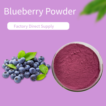 Best Powder Blueberry Good Price