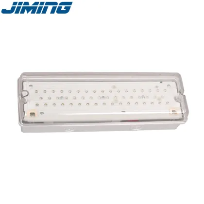 LE502L-AD LED Waterproof Emergency Security Light: Ceiling Emergency Lighting Solution