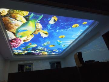 PH5 Indoor LED Ceiling Display