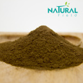 lose Weight Nuciferine Lotus Leaf Extract Powder
