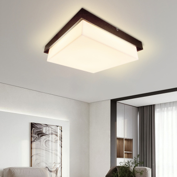 Creative Acrylic LED Ceiling Lights for Living Room and Bedroom