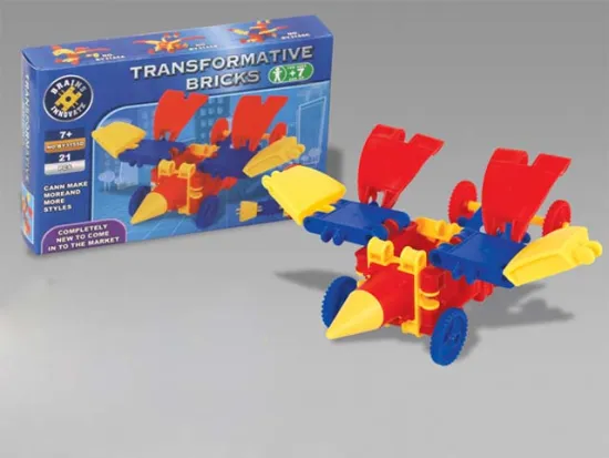 TRANSFORMATIVE BRICKS