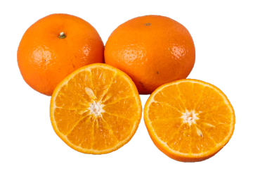 Orah Mandarin for Highend Retail and Food Businesses