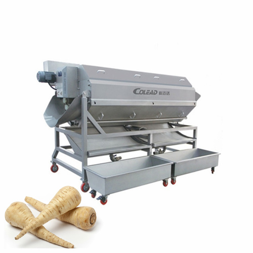 Parsnip Washing and Peeling Machine