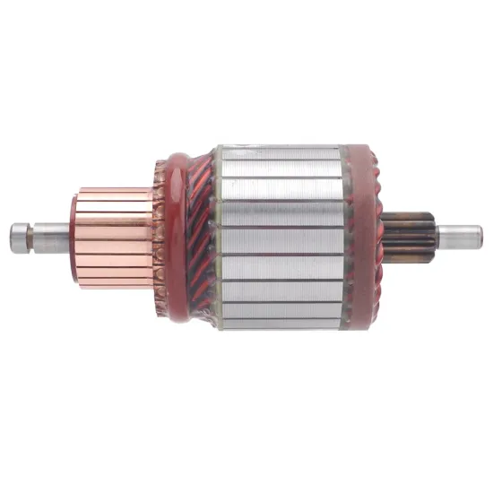 High Quality 12V Starter Motor Parts Armature IM2132 BO-61509 for Transit Starter Motors