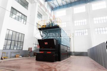 10Mw Chain Grate Stoker Biomass Pellet Furnace
