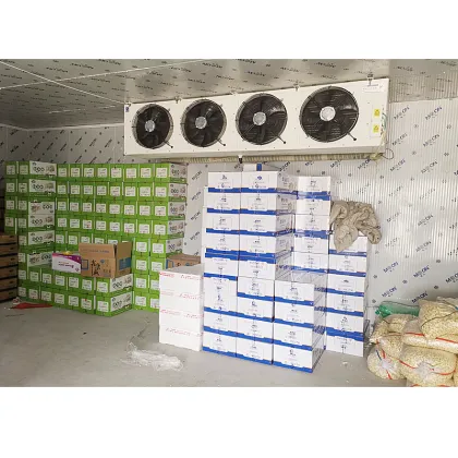 Moon Cold Storage: Walk-in Freezer Rooms and Chiller Solutions