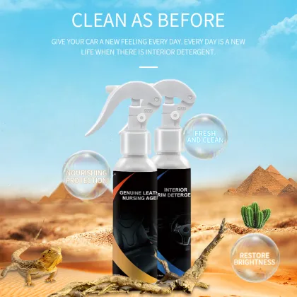 Provocateur Agent Interior Cleaning