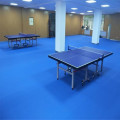 blauer Farbboden für Indoor-Tischtennisplatz