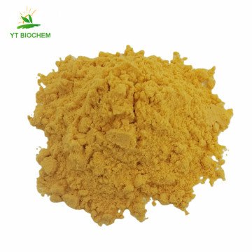 Food application organic kosher pumpkin juice extract powder