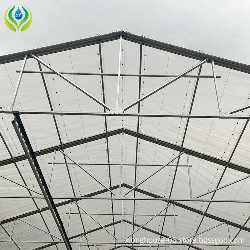 Custom Retractable Metal Frame Greenhouse for Planting from China