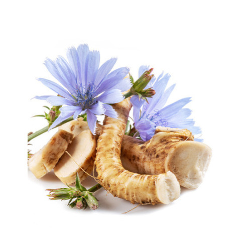 Chicory Extract 90% Inulin