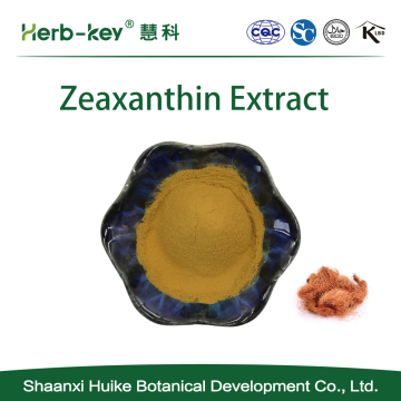 Mais -Stigma -Extrakt mit 10% Zeaxanthin enthalten