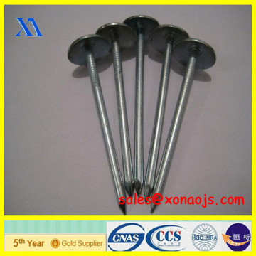 roofing nail/iron roofing nail/metal roofing nail