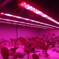 Hydroponic LED Light Light Strip