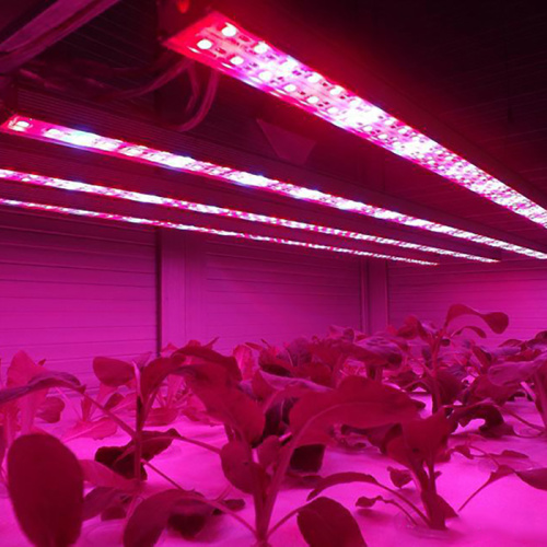 Tira de luz de cultivo hidropónico LED