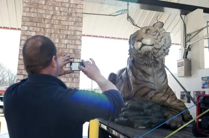 world's largest golden tiger stone carving marble tiger sculpture