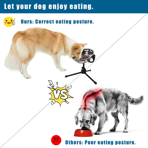 Dual Bowls for Large Dog