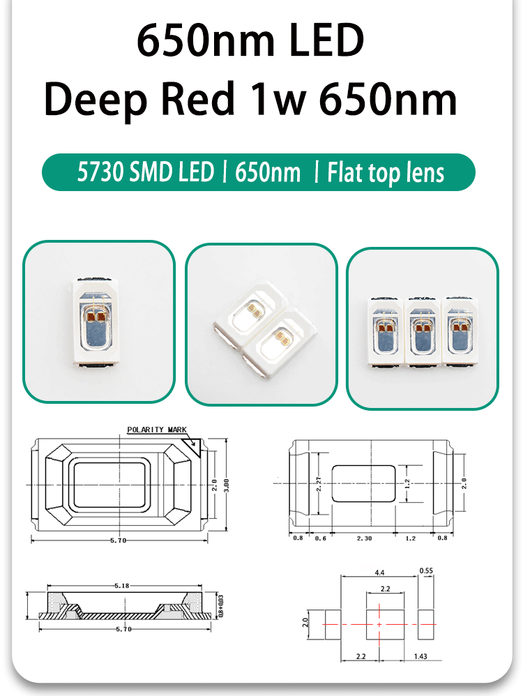 5730TRC65P26L22-5730-SMD-LED-650nm-Red-LED-660nm-Deep-red-SMD-LED-2-CHIPS_02