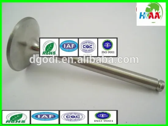 Diesel Engine Spare Parts Oil Inlet Valve (OE:8905200031)