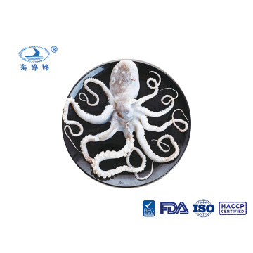 ຄຸນະພາບດີ Octopus ຂາຍາວ