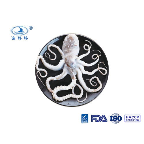 ຄຸນະພາບດີ Octopus ຂາຍາວ