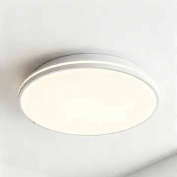 Minimalist indoor ceiling lamp