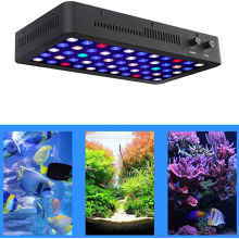 165W Phlizon Led Aquarium Light for Fish