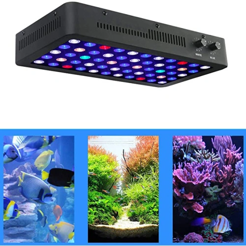 China Luz de acuario LED de 165W Phlizon para peces Fabricantes