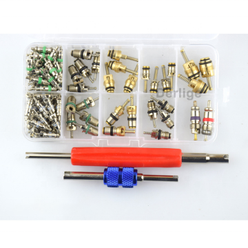 Car Air Conditioning Valve Core Kit: 18 Types A/C R12 R134A Repair Tool Box Set