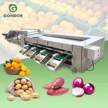 Mangga Lemon Guava Kapulaga Kapulaga dan Menyortir Mesin Jalur Produksi untuk Buah -buahan Seperti Kiwi "Namun, mengingat fokus khusus pada Kiwi dalam kueri, judul yang lebih ditarget