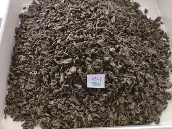 Green Tea 9501