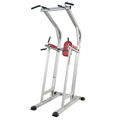 Chin dip leg raise with balance ball machine
