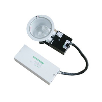 Emergency downlight with emergency converter inside