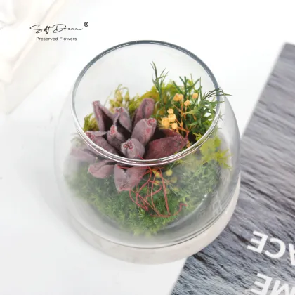 Preserved Moss and Botanicals for Home Decor and Gifts