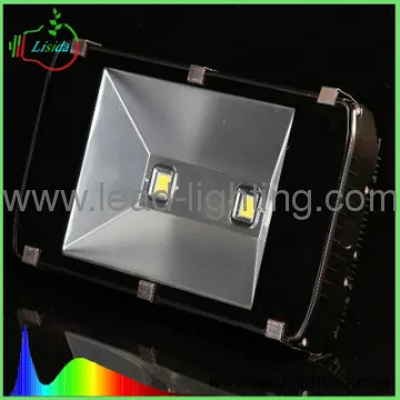 COB Tunnel Light with Premier  Lighting Source